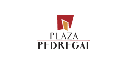 fracc plaza pedregal